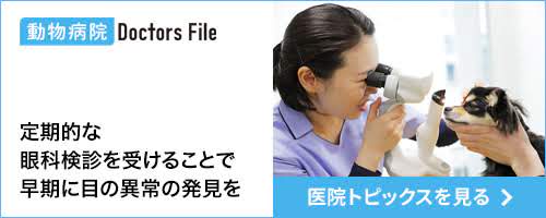 ドクターズ・ファイルの小儀動物病院ページ「眼科検診」